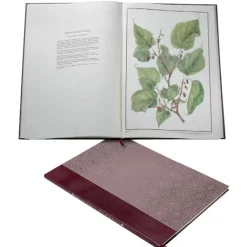 Limited Edition The Queen'S Mulberries